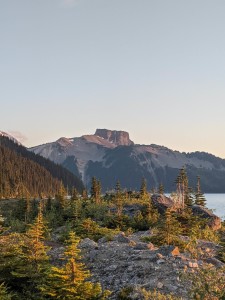 PXL_20240807_032207493