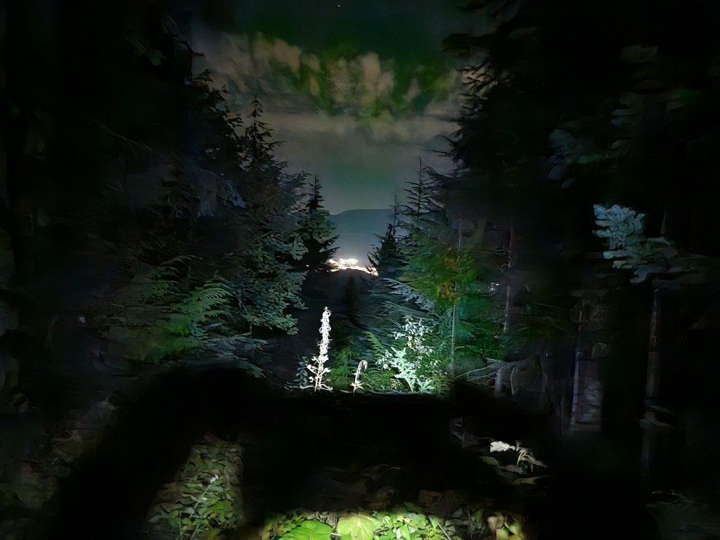 20241012_052832