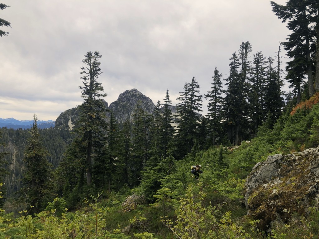 Bushwacking north of Wettin Peak. Mount Hanover is seen behind us to the southeast.