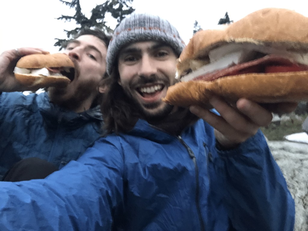 Mega brie cheese sandwiches for dinner.