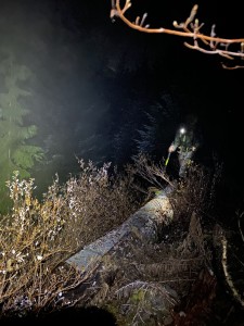 Trying to not fall off the wet log into a pit of devil's club. PC: Lyra Gui