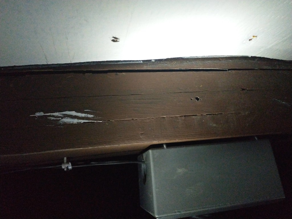 That crack shouldn't be there... PC: Cassandra Elphinstone