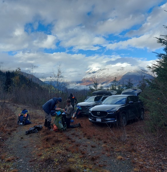 We parked here, so I guess the alder won. PC: Juliane Bonnefoy