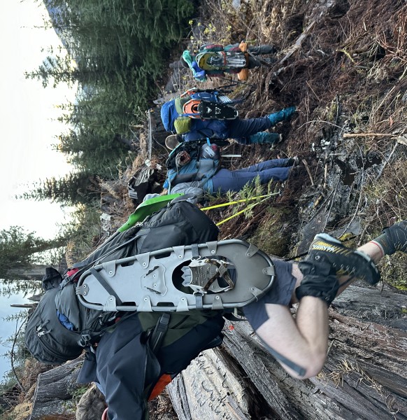 Climbing through a cutblock. PC: Sophie Wigman