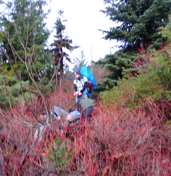 A bit overgrown. PC: Juliane Bonnefoy