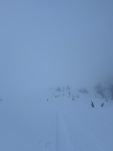Lost in the fog