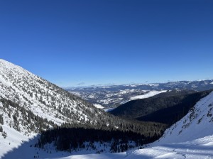 IMG_2794