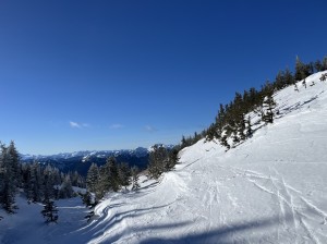 IMG_2795