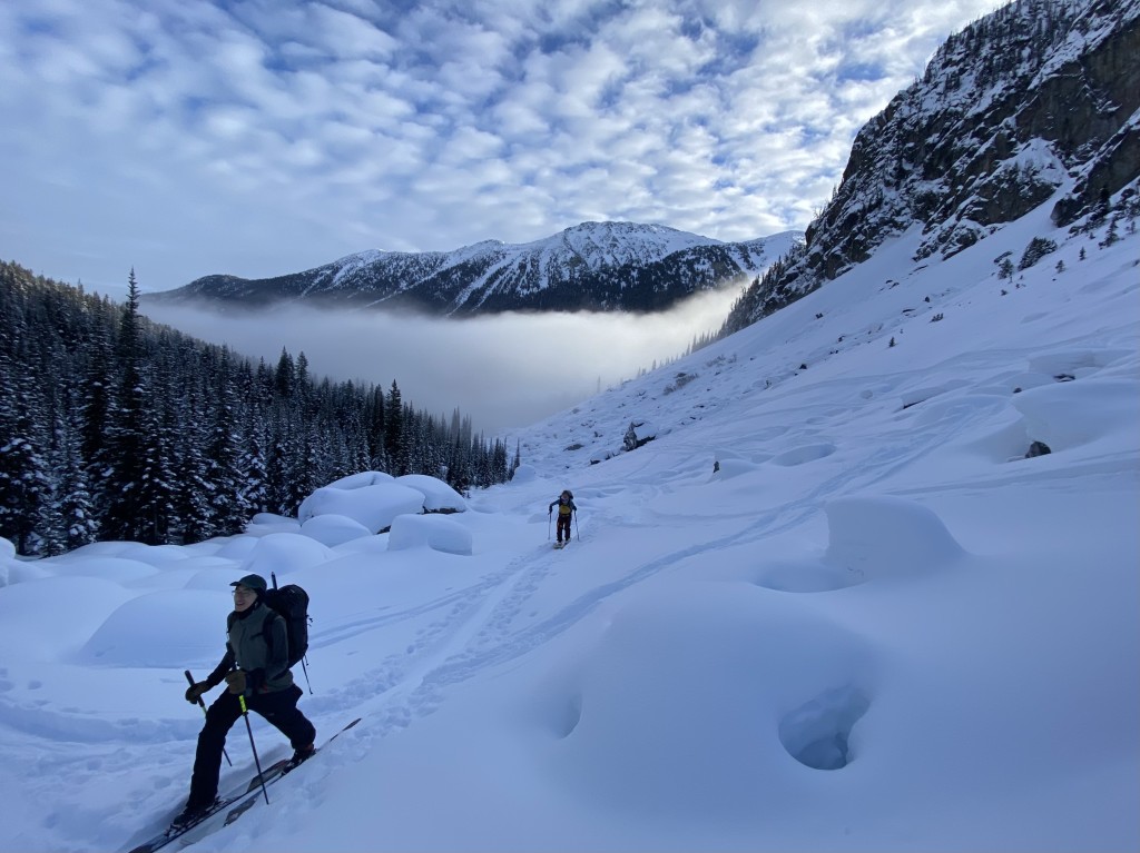 Skinning out of the mist