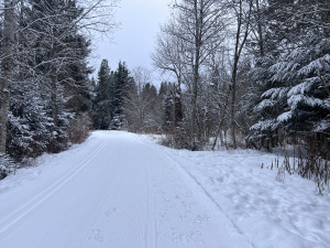 Walking through Whistler to the trailhead