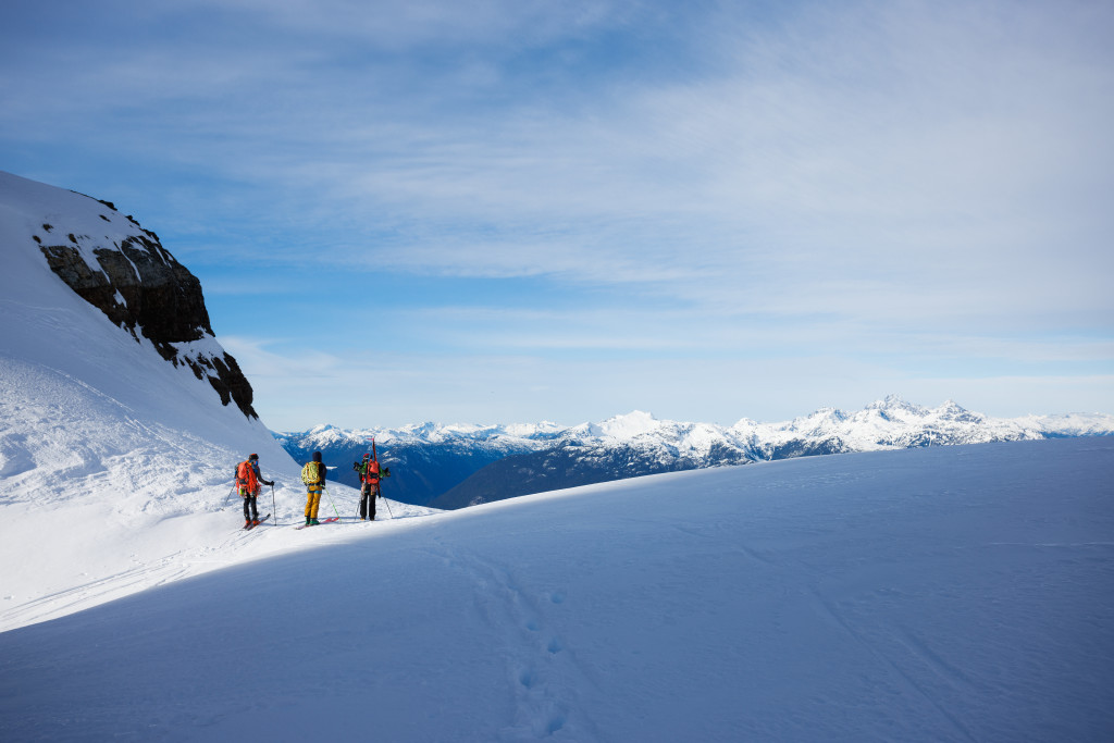 PHOTO 2 - Majestic