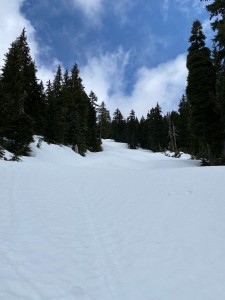 IMG_6315