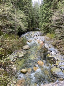 IMG_6340
