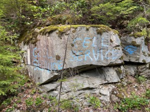 IMG_6342