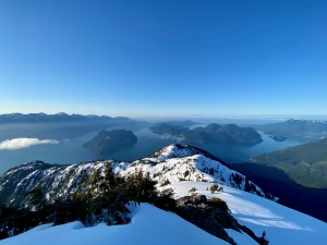 IMG_6445