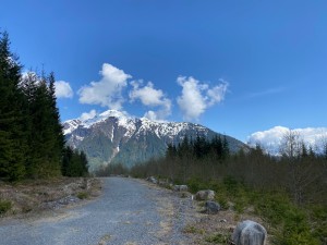 IMG_6472