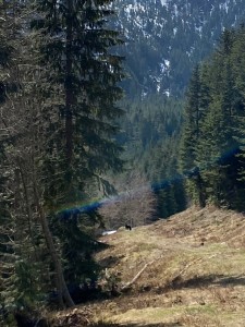 IMG_6476 (1)