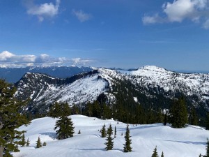IMG_6481