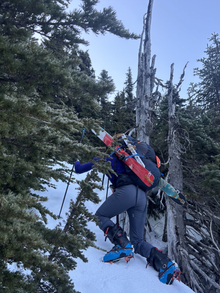 A short and steep bushwack.