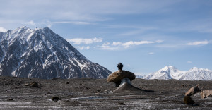 Chilling on a glacial table.