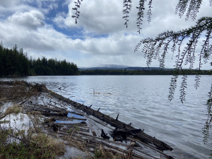 Picnic by Haynes Lake