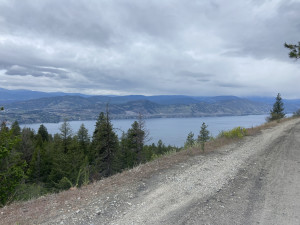 Okanagan Lake, from the KVT switchbacks