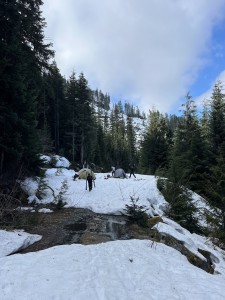 IMG_9338