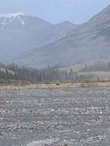 PXL_20250603_215936840