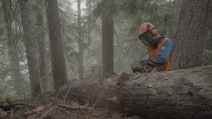 Me trying out the chainsaw (Alexi L)