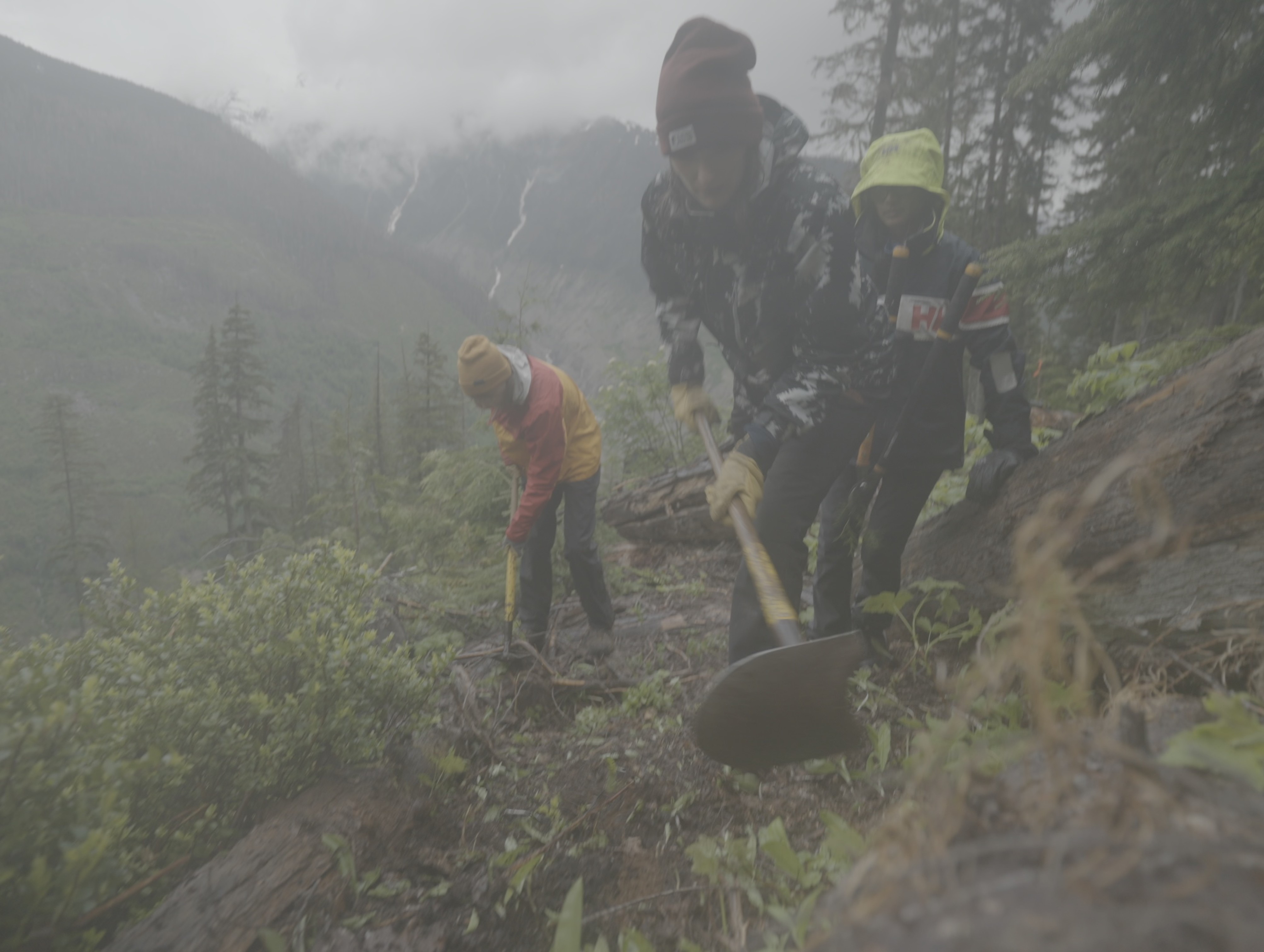 People digging out a footbed in the cut block (Alexi L)
