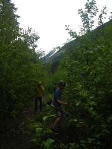 FSR clearing action