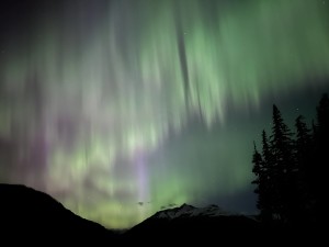 The night (Duncan M)